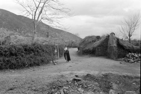 ARH NL Dierssen 1354/0010, "Fellachendorf" vor Xanthi, Griechenland, 1956