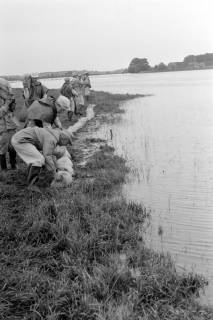 ARH NL Dierssen 1360/0006, Weserhochwasser wird eingedämmt (Technisches Hilfswerk und britische Truppen), Hoya, 1956