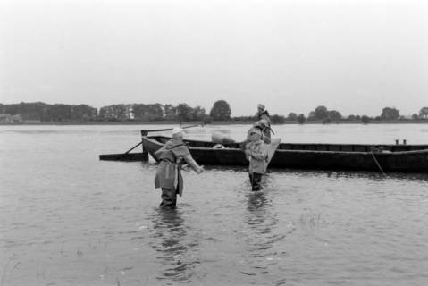 ARH NL Dierssen 1360/0007, Weserhochwasser wird eingedämmt (Technisches Hilfswerk und britische Truppen), Hoya, 1956