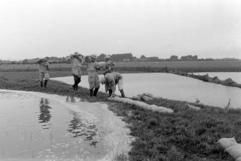 ARH NL Dierssen 1360/0010, Weserhochwasser wird eingedämmt (Technisches Hilfswerk und britische Truppen), Hoya, 1956