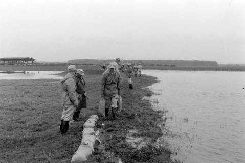 ARH NL Dierssen 1360/0011, Weserhochwasser wird eingedämmt (Technisches Hilfswerk und britische Truppen), Hoya, 1956