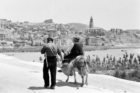 ARH NL Dierssen 1362/0032, Tour d'Europe: Mann auf Esel, Spanien, 1956