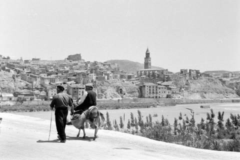 ARH NL Dierssen 1362/0033, Tour d'Europe: Mann auf Esel, Spanien, 1956