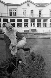 ARH NL Dierssen 1377/0032, Weihnachtsmann brät Straußen-Ei, Bad Harzburg, 1956
