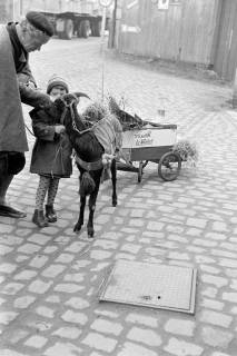 ARH NL Dierssen 1382/0009, Pilger mit Ziege, die einen kleinen Wagen mit der Aufschrift "Wir suchen die Wahrheit" zieht, Wülfingen, 1957