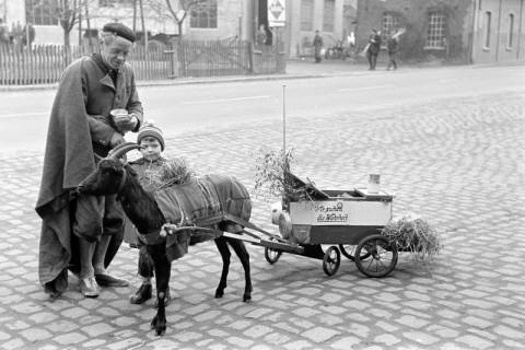 ARH NL Dierssen 1382/0010, Pilger mit Ziege, die einen kleinen Wagen mit der Aufschrift "Wir suchen die Wahrheit" zieht, Wülfingen, 1957