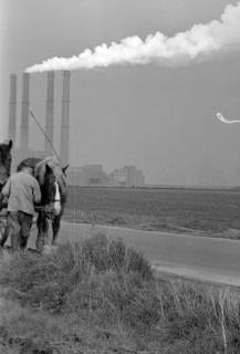 ARH NL Dierssen 1382/0025, Bauer mit Pferden vor dem Thomas-Stahlwerk, Salzgitter, 1957