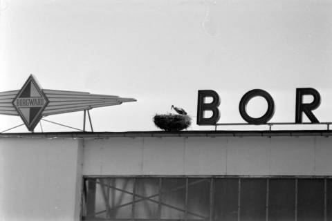 ARH NL Dierssen 1394/0014, Störche auf der Autohalle von Borgward, Bremen, 1957