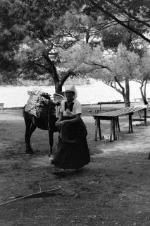 ARH NL Dierssen 1502/0009, Markt, Šibenik?, 1965