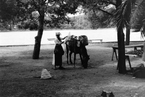 ARH NL Dierssen 1502/0010, Markt, Šibenik?, 1965