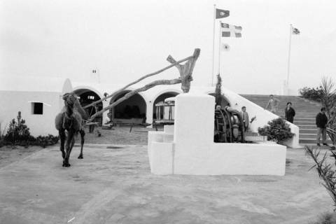 ARH NL Dierssen 1521/0019, Brunnen mit Kamel, Raoued, 1966