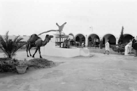 ARH NL Dierssen 1521/0021, Brunnen mit Kamel, Raoued, 1966