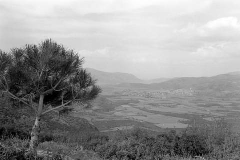 ARH NL Dierssen 1560/0022, Landschaft, Selçuk, 1967