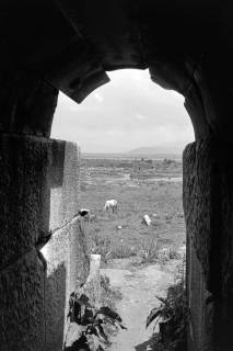 ARH NL Dierssen 1561/0020, Blick aus dem Theater von Milet?, 1967