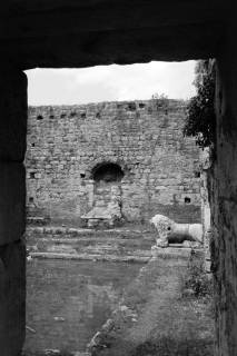 ARH NL Dierssen 1561/0023, Frigidarium der Faustina-Thermen in Milet mit Statuen eines Flussgottes und eines Löwen, 1967