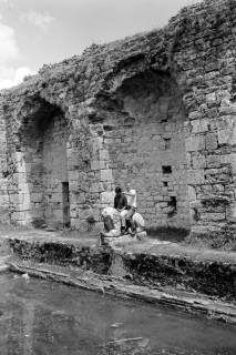 ARH NL Dierssen 1561/0024, Frigidarium der Faustina-Thermen in Milet mit Statue eines Löwen, 1967