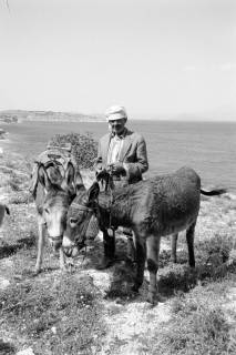 ARH NL Dierssen 1566/0013, Bauer mit Eseln, Çesme, 1967