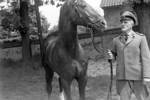 ARH NL Dierssen 1600/0005, Gestütswärter Soetbeer, Celle, 1968