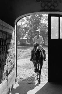 ARH NL Dierssen 1609/0012, Springreiter Hermann Schridde auf einem Pferd, Meißendorf, zwischen 1968/1969