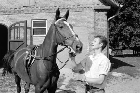 ARH NL Dierssen 1610/0003, Springreiter Hermann Schridde mit einem Pferd, Meißendorf, zwischen 1968/1969