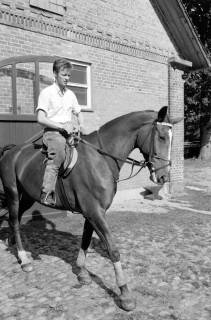 ARH NL Dierssen 1611/0006, Springreiter Hermann Schridde auf einem Pferd, Meißendorf, zwischen 1968/1969