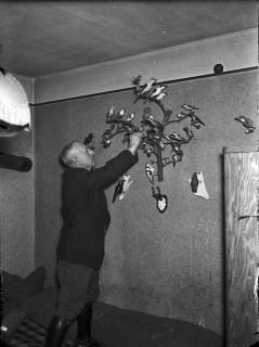 ARH NL Dierssen G 166, Förster Stolz mit geschnitzten Vögeln, Springe, 1949