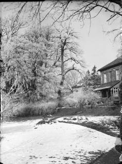 ARH NL Dierssen G 184, Schnee im Garten vom Landratsamt, Springe, 1949