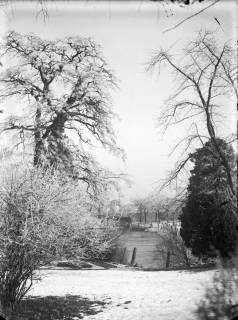 ARH NL Dierssen G 185, Schnee im Garten vom Landratsamt, Springe, 1949
