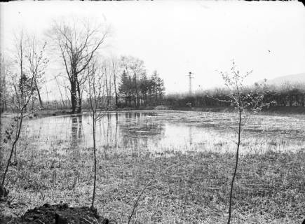 ARH NL Dierssen G 186, Am Großen Weiher im Volkspark, Springe, 1949