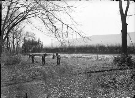 ARH NL Dierssen G 189, Arbeiten im Volkspark, Springe, 1949