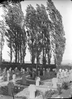 ARH NL Dierssen G 208, Ehrenfriedhof für die Kriegsgefallenen auf dem Stadtfriedhof, Bad Münder, 1949