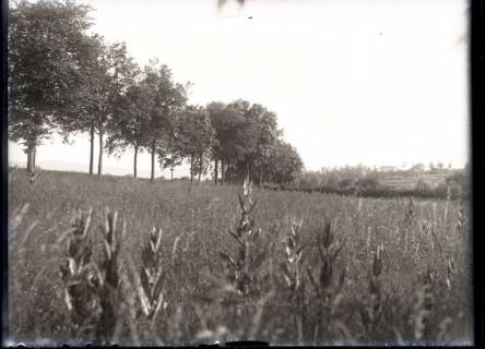 ARH NL Kageler 370, 1. Weltkrieg, Frankreich, zwischen 1914/1918