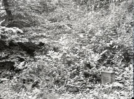 ARH NL Kageler 2539, Ringwall auf dem Gehrdener Berg, 1940