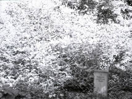 ARH NL Kageler 2543, Ringwall auf dem Gehrdener Berg, 1940