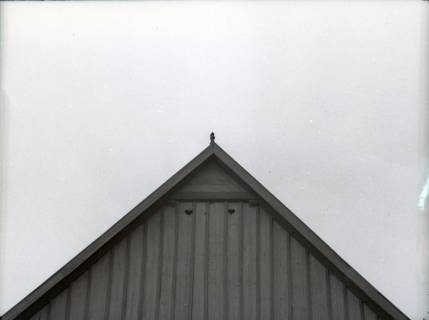 ARH NL Kageler 2654, Niedersächsisches Bauernhaus mit Giebelpfahl, Leveste, 1940