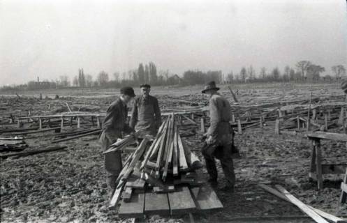 ARH NL Koberg 634, Entfernung von Tarnholz bei der Räumung des Maschsees zwecks Nutzung als dringend benötigtes Bauholz, Hannover, 1945