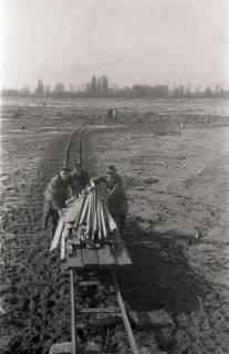 ARH NL Koberg 635, Entfernung von Tarnholz bei der Räumung des Maschsees zwecks Nutzung als dringend benötigtes Bauholz, Hannover, 1945