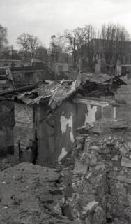 ARH NL Koberg 11833, Zerstörtes Schloss Herrenhausen, Hannover, 1945