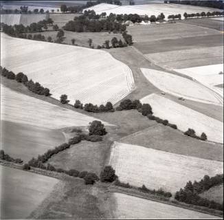 ARH NL Koberg 1365, Landschaftsstruktur mit Feldern, Kaltenweide, 1969