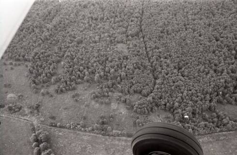 ARH NL Koberg 2727, Helstorfer Moor, Neustadt am Rübenberge, 1976