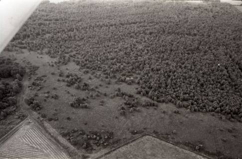 ARH NL Koberg 2729, Helstorfer Moor, Neustadt am Rübenberge, 1976