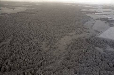 ARH NL Koberg 2731, Helstorfer Moor, Neustadt am Rübenberge, 1976