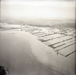 ARH NL Koberg 3542, Hochwasser an der Aller-Leine-Mündung, Eickeloh, 1962