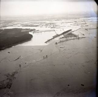 ARH NL Koberg 3543, Hochwasser an der Aller-Leine-Mündung, Eickeloh, 1962