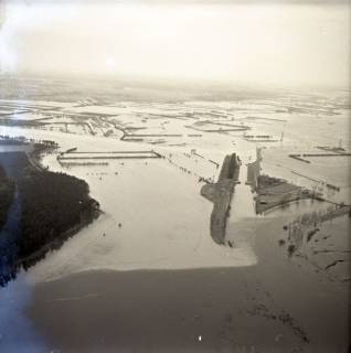 ARH NL Koberg 3544, Hochwasser an der Aller-Leine-Mündung, Eickeloh, 1962