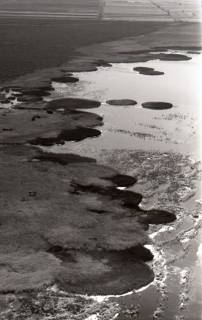 ARH NL Koberg 3626, Nordöstliches Ufer, Steinhuder Meer, 1960