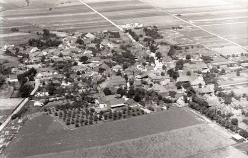 ARH NL Koberg 3655, Kolenfeld, 1960