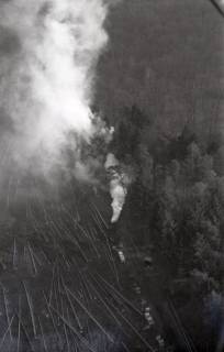 ARH NL Koberg 4226, Abbrennungen im Wald durch Forstarbeiter, bei Nienburg/Weser, 1961