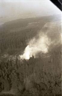 ARH NL Koberg 4227, Abbrennungen im Wald durch Forstarbeiter, bei Nienburg/Weser, 1961