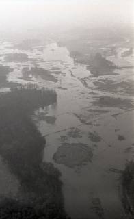 ARH NL Koberg 4257, Hochwasser des Steinhuder Meerbachs, bei Nienburg/Weser, 1961